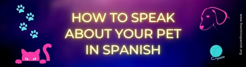 How to Speak about Your Pet in Spanish