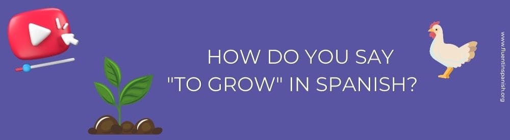 How do you say to grow in Spanish?